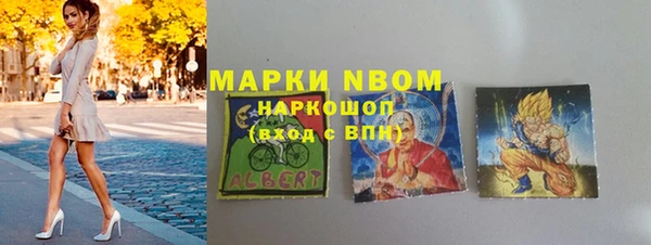 ПСИЛОЦИБИНОВЫЕ ГРИБЫ Вяземский