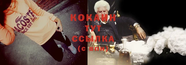 ПСИЛОЦИБИНОВЫЕ ГРИБЫ Вяземский