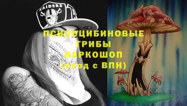 ПСИЛОЦИБИНОВЫЕ ГРИБЫ Вяземский