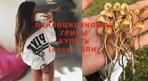 дурь Вязьма
