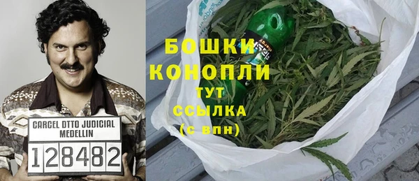 ПСИЛОЦИБИНОВЫЕ ГРИБЫ Вяземский
