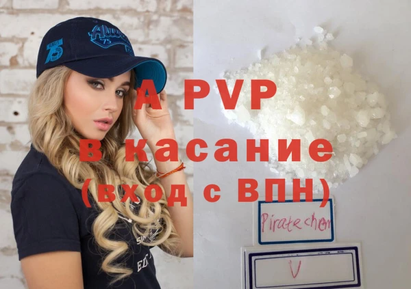 ПСИЛОЦИБИНОВЫЕ ГРИБЫ Вяземский
