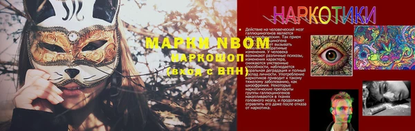ПСИЛОЦИБИНОВЫЕ ГРИБЫ Вяземский