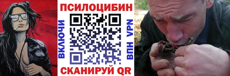 кракен маркетплейс  Дубовка  Псилоцибиновые грибы Cubensis  где купить наркотик 