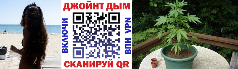 Каннабис Amnesia  как найти закладки  маркетплейс как зайти  Дубовка 